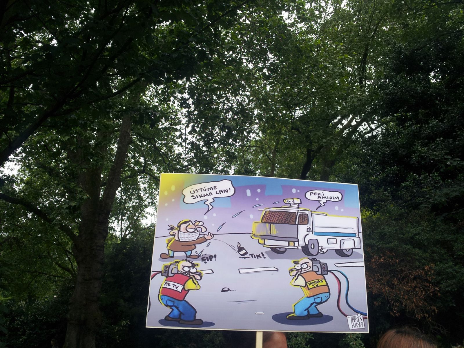 Gezi Park Protestosu-Turkish Embassy